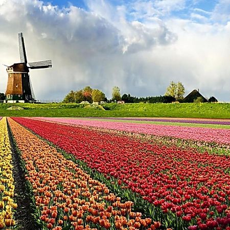 Logeren Op Dijk43 Hotel Broek op Langedijk Quarto foto