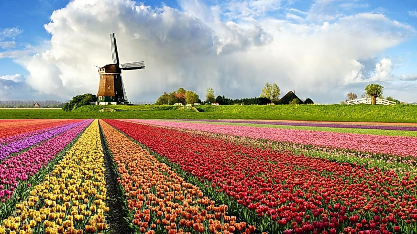 Logeren Op Dijk43 Hotel Broek op Langedijk Quarto foto